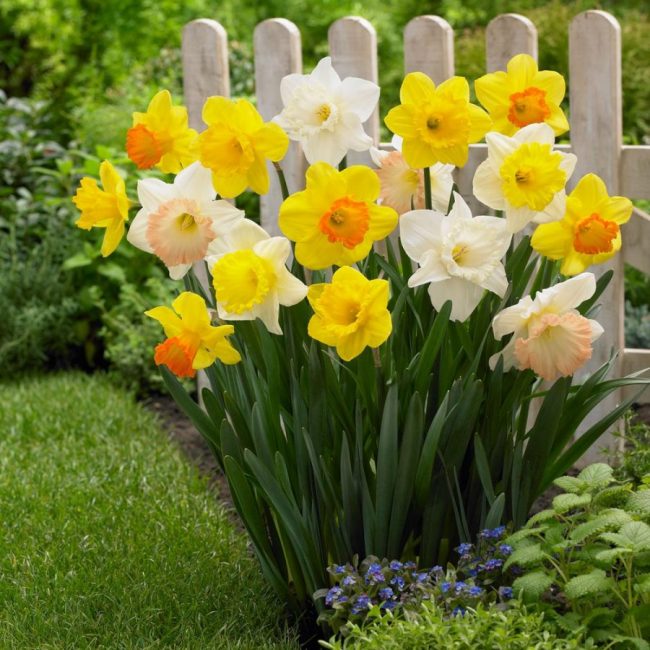 Moviment de disseny inusual: planta flors en forma de ram
