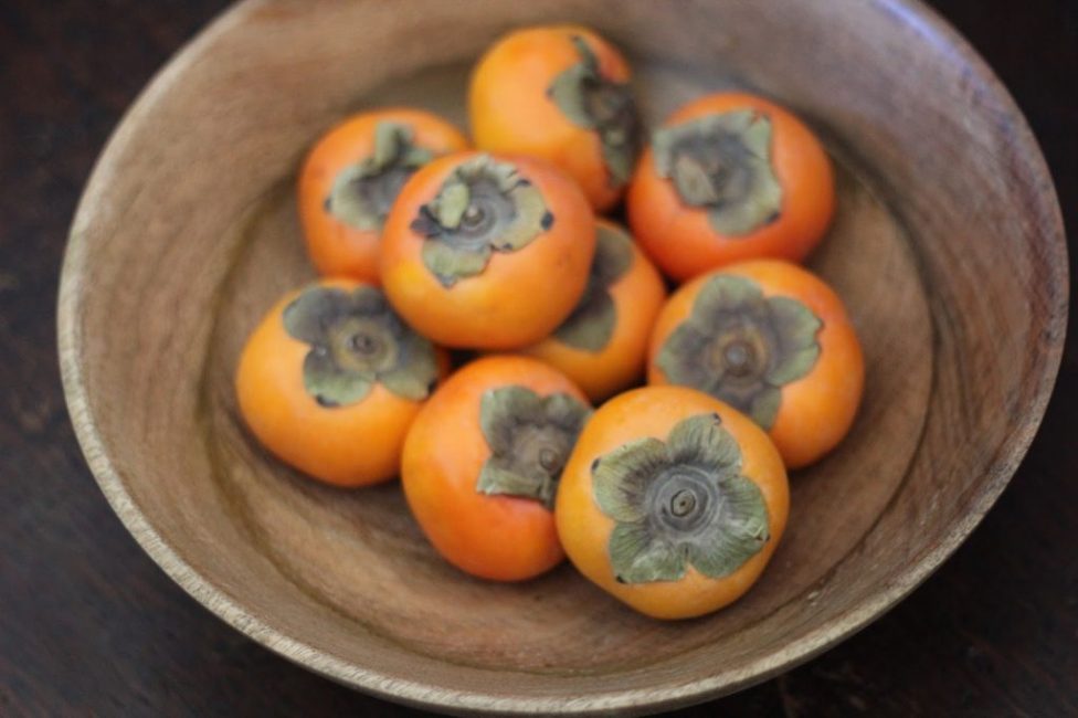 Persimmon Seedlis