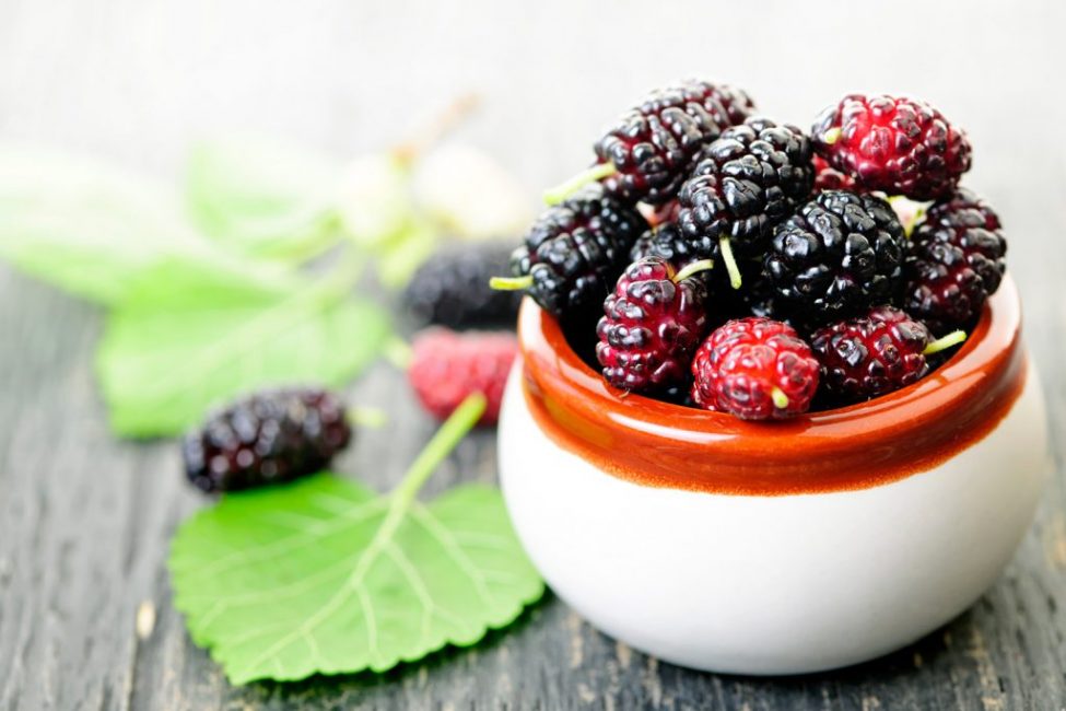Mulberry contiene muchas sustancias útiles.