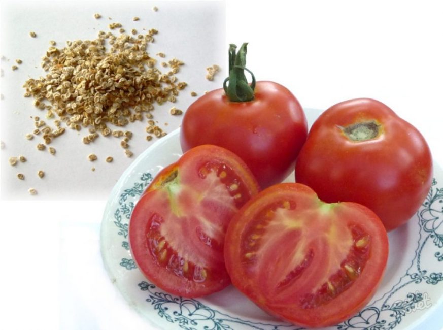 domates tohumları