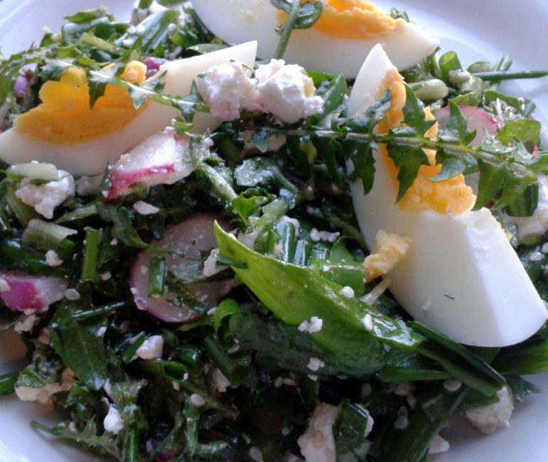 Ensalada de diente de león