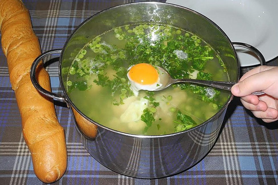 sopa de diente de león