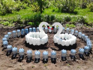 plastik şişelerden çiçek tarhları