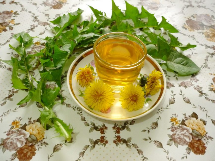 Té de diente de león