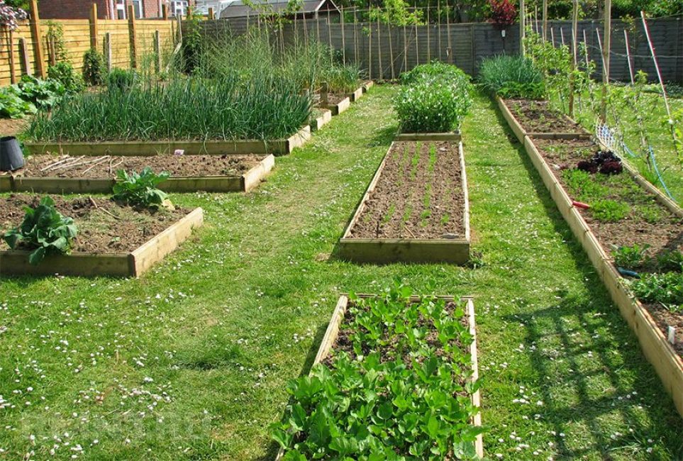 Distribució del jardí