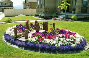 Parterre de floració contínua: decoració de jardí per a totes les estacions. Esquemes de parterres de flors anuals i perennes (+ de 85 fotos i vídeos) + ressenyes