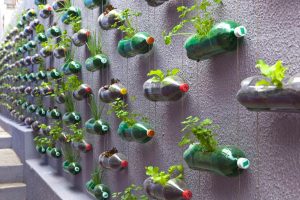 plastik şişelerden çiçek tarhları