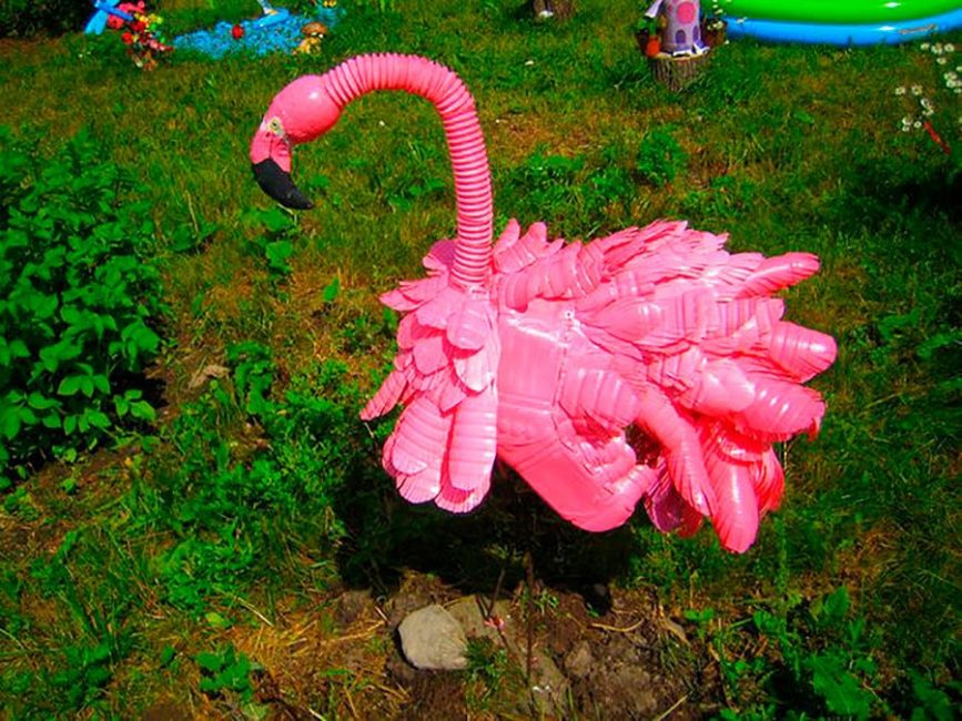 Pembe flamingo