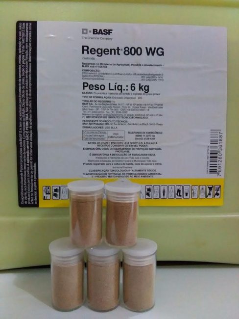 Regent pulver
