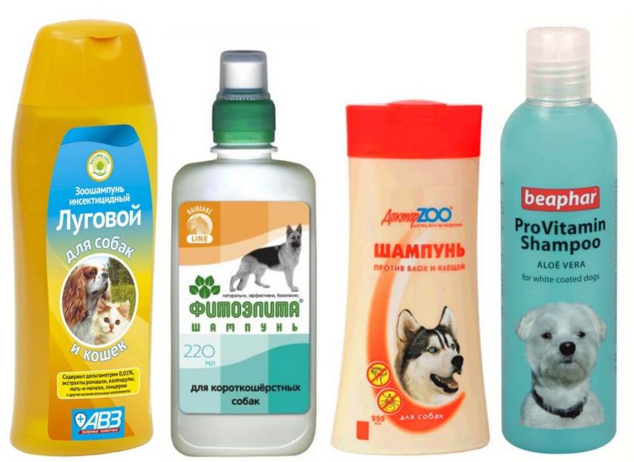 ¿Cómo elegir los mejores cosméticos para tu animal favorito?