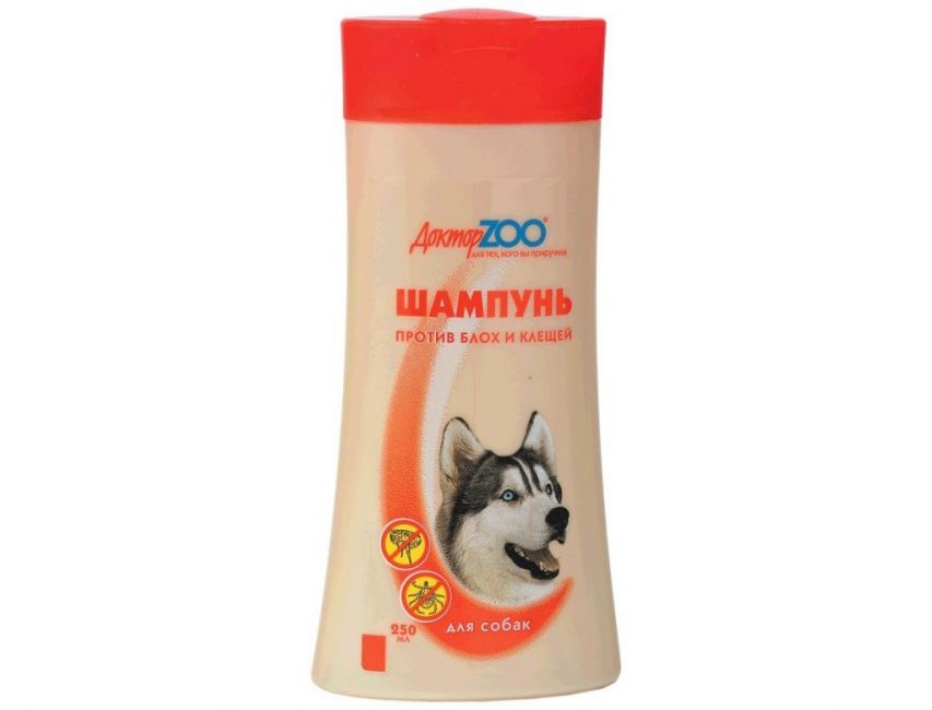 médico zoológico