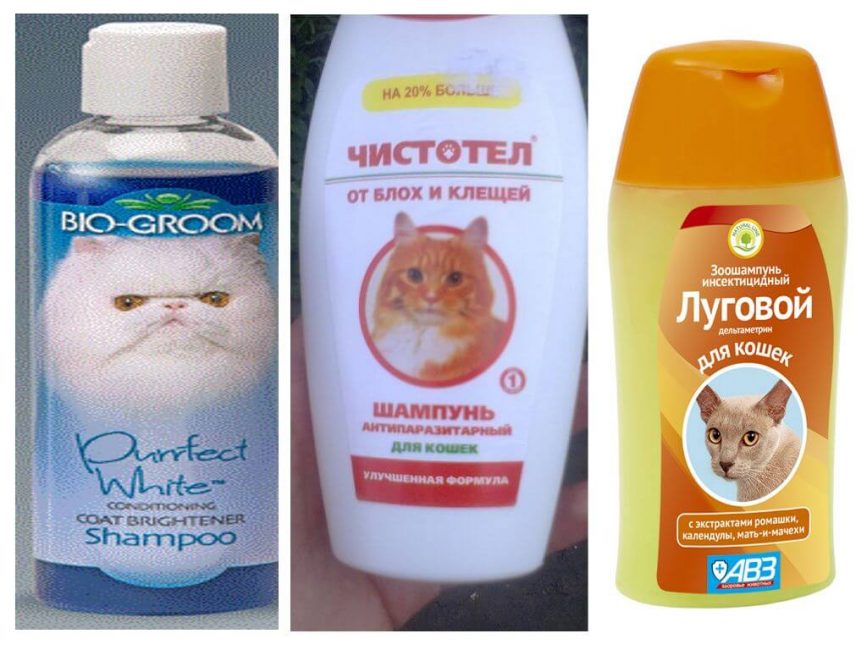 Παραδείγματα δημοφιλών τζελ
