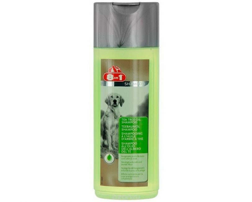 Champú de aceite de árbol de té 8 en 1