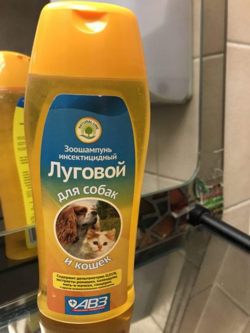Εντομοκτόνο Lugovoi