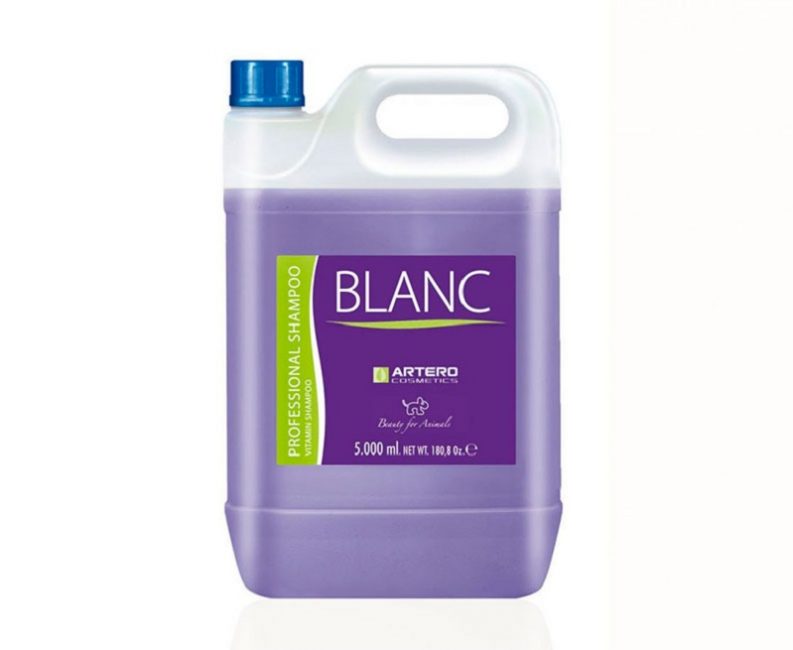 Artero Blanc - botella 5L