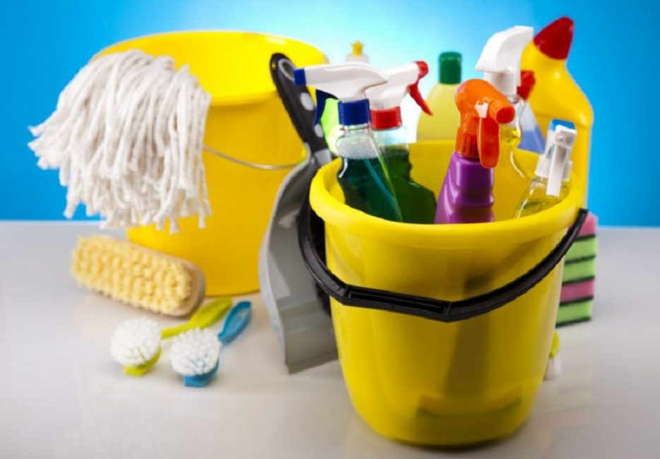 Productos químicos domésticos modernos: salvación para las amas de casa