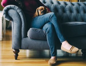 Sofás de buena calidad: cómo elegir un modelo polivalente para relajarse y dormir. Fabricantes populares + Reseñas