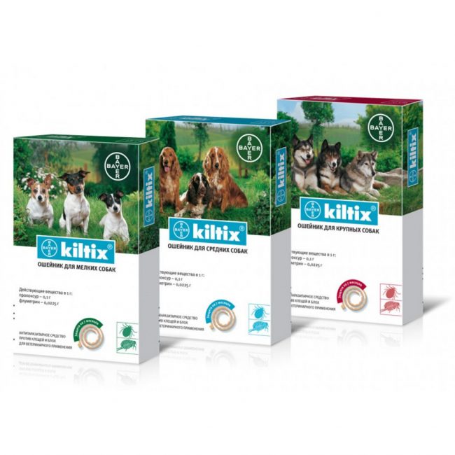 Kiltix