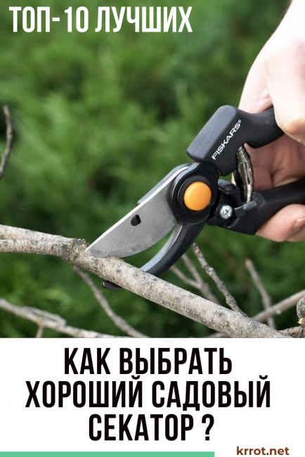 bästa trädgårdsbeskäraren