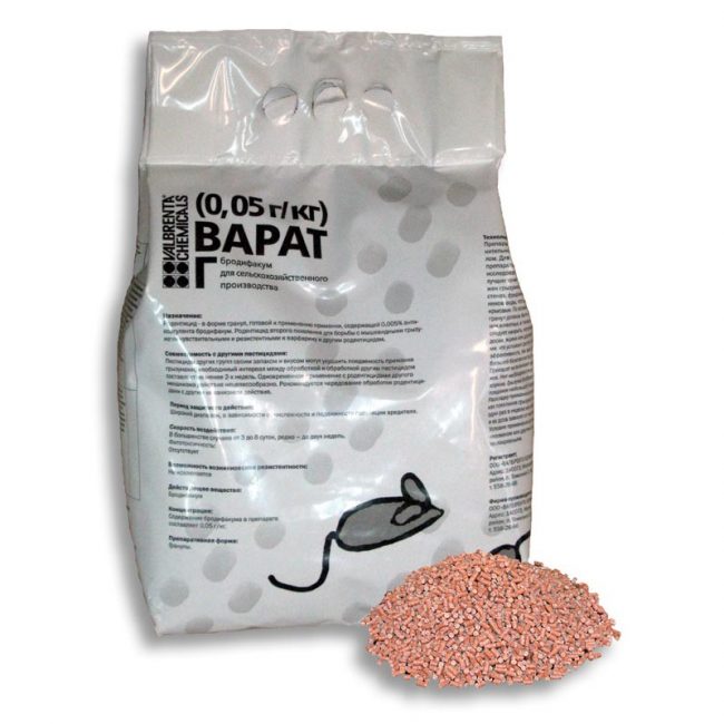 Bait Warat