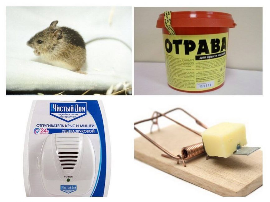Productes de control de ratolins