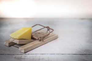 TOP 10 bästa botemedel för möss och råttor i ett privat hus: vi bekämpar gnagare effektivt! +Recensioner