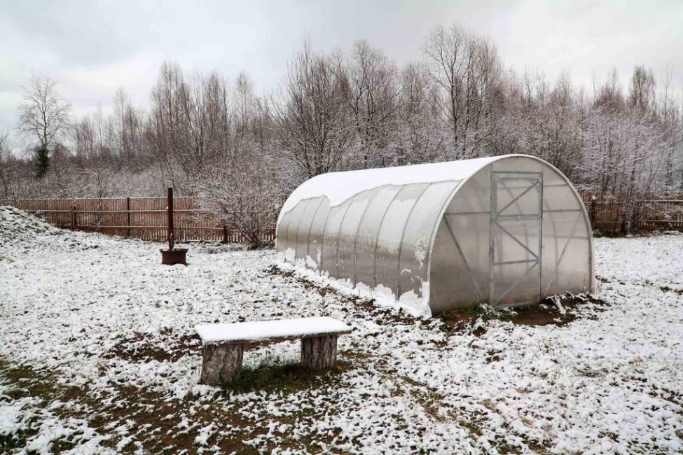 Hivernacle a l'hivern