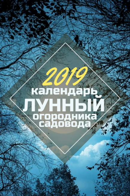 Lunární kalendář 2019