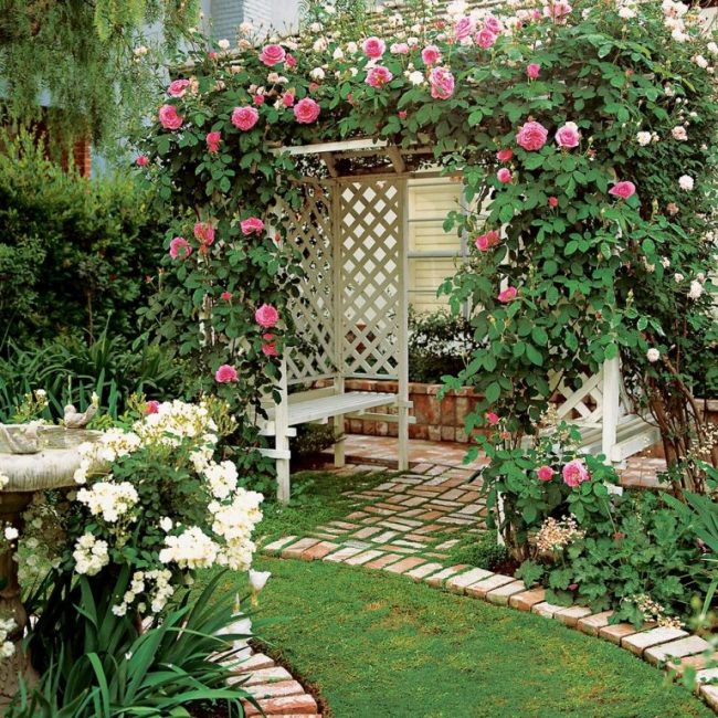 Las rosas trepadoras crean sombras agradables y hermosas