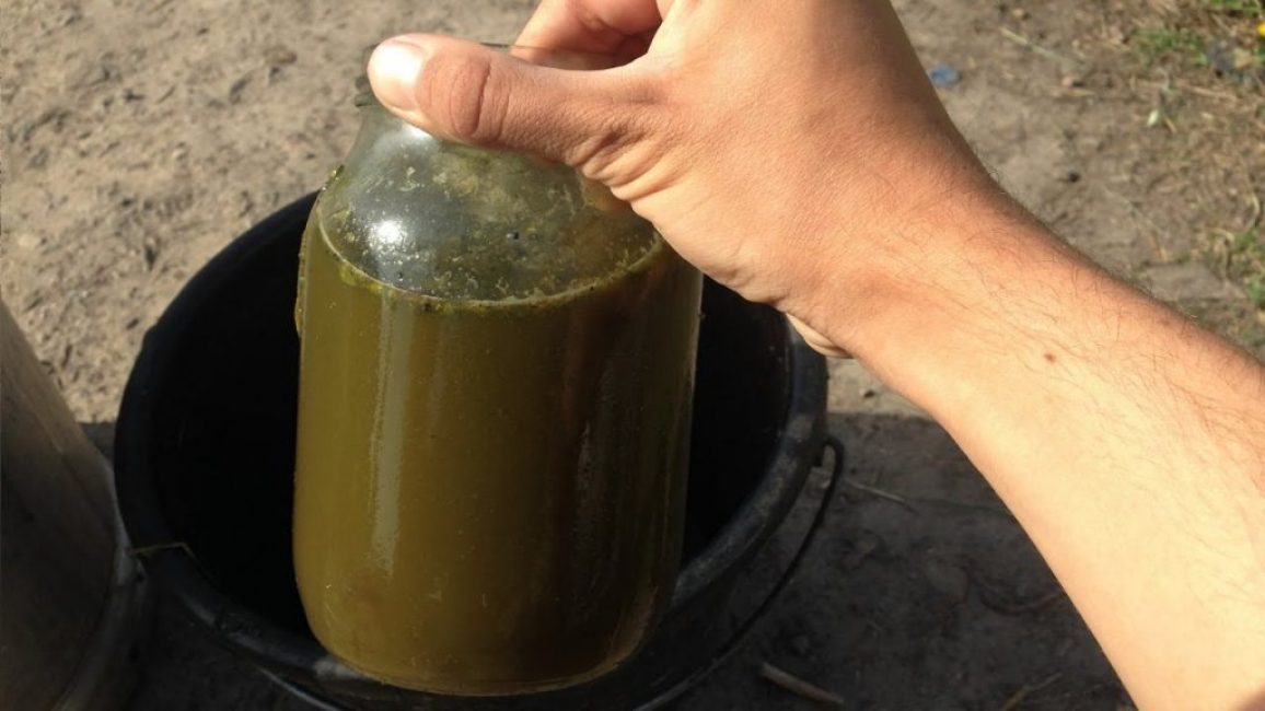 Fertilizantes orgánicos disueltos en agua
