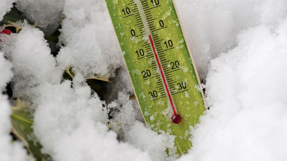 Las bajas temperaturas y la humedad inadecuada pueden dañar
