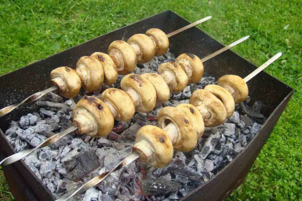 mantar şiş