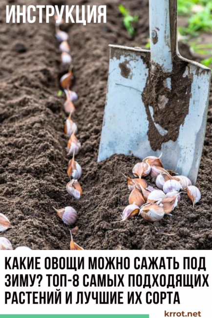 Milyen zöldségeket lehet tél előtt ültetni