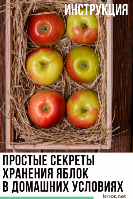 cómo almacenar manzanas secas en casa