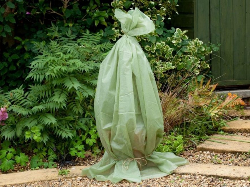 Standard Rose Shelter