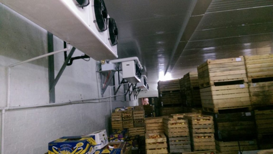 Almacenamiento de frutas para manzanas.