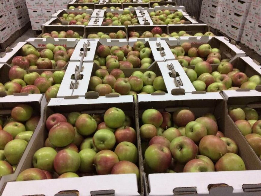 almacenamiento de manzana