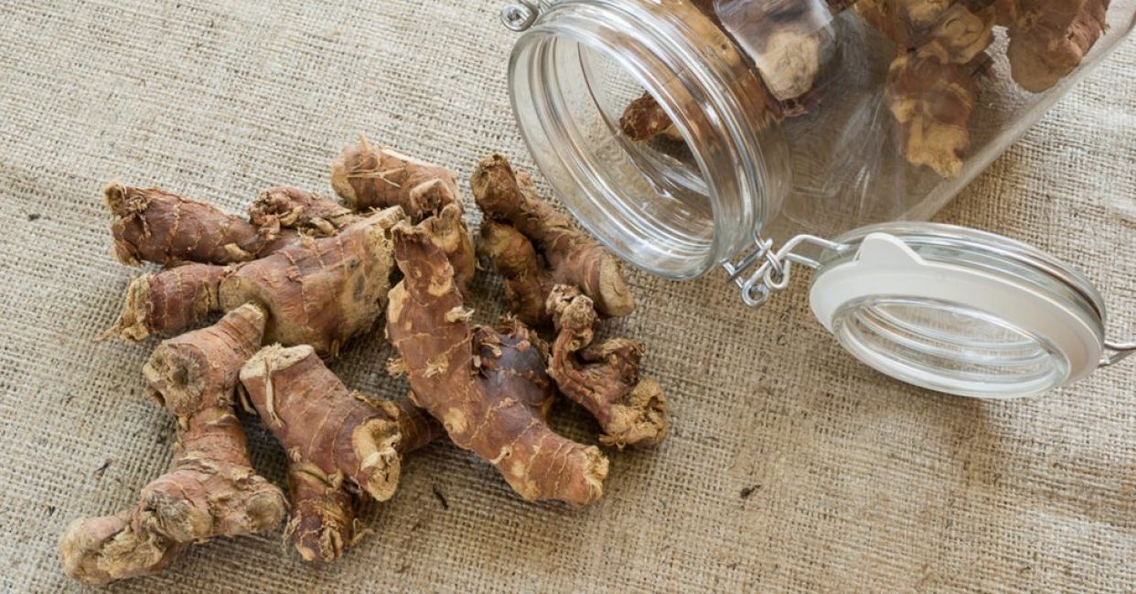 galangal juuri