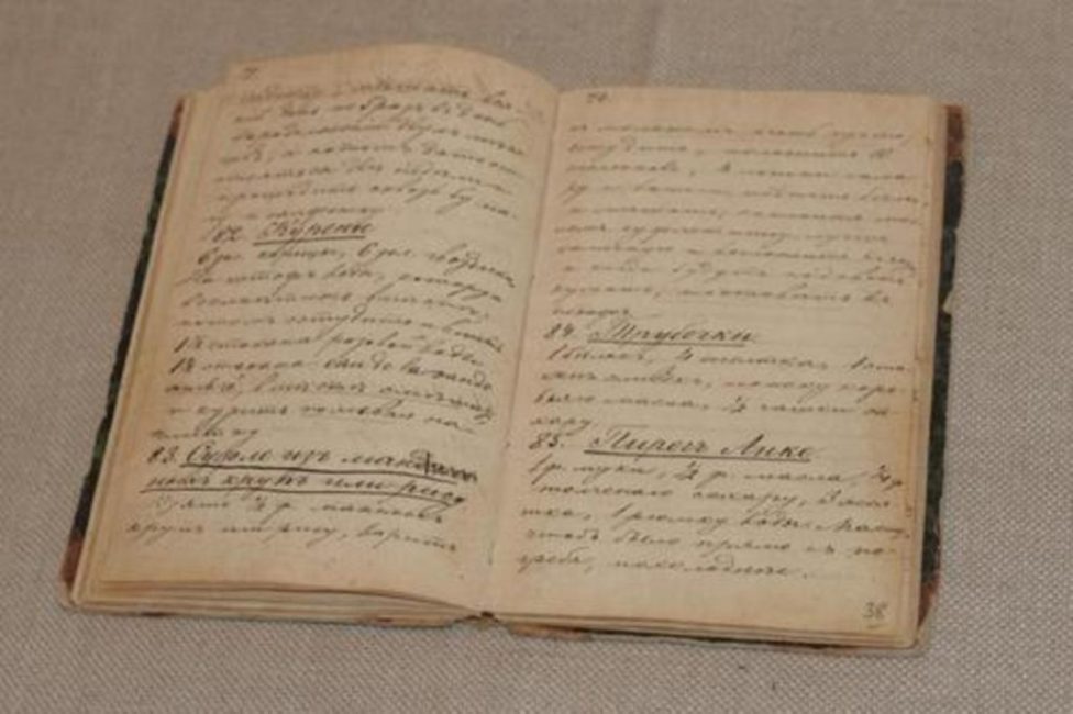 Libro de cocina de la esposa de León Tolstoi