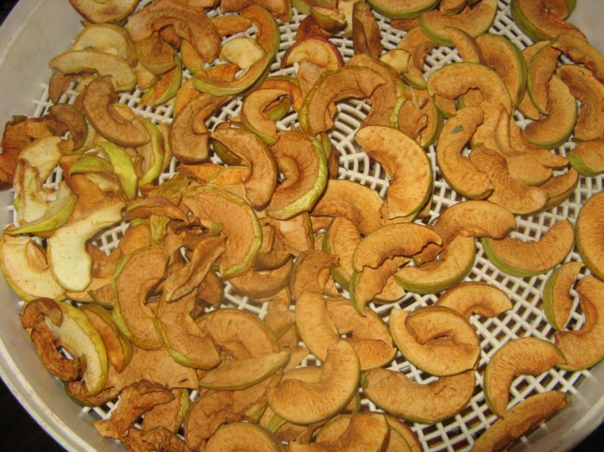 secado de manzanas