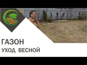 [VÍDEO] Què fer amb la gespa a la primavera?