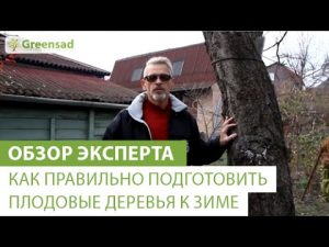 [VÍDEO] Com preparar bé els arbres fruiters per a l