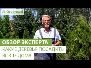 [VIDEO] Vilka träd att plantera nära huset