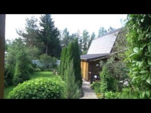 [VIDEO] Bildande av rabatter