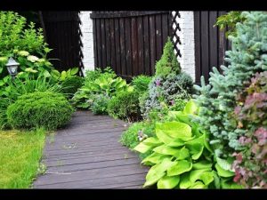 [VIDEO] El jardín de un cultivador principiante