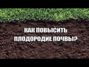 [VIDEO] 8 módszer a talaj termékenységének növelésére