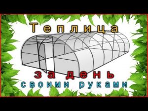 [ВИДЕО] Как да построите оранжерия за един ден със собствените си ръце