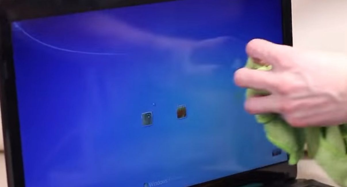 Netegem la pantalla del portàtil