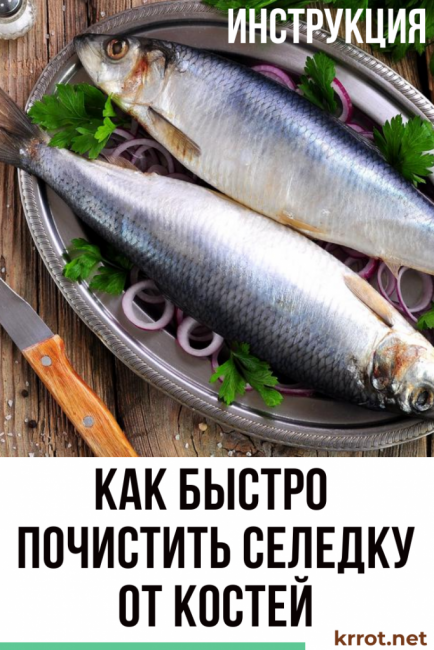 kuinka puhdistaa silli nopeasti
