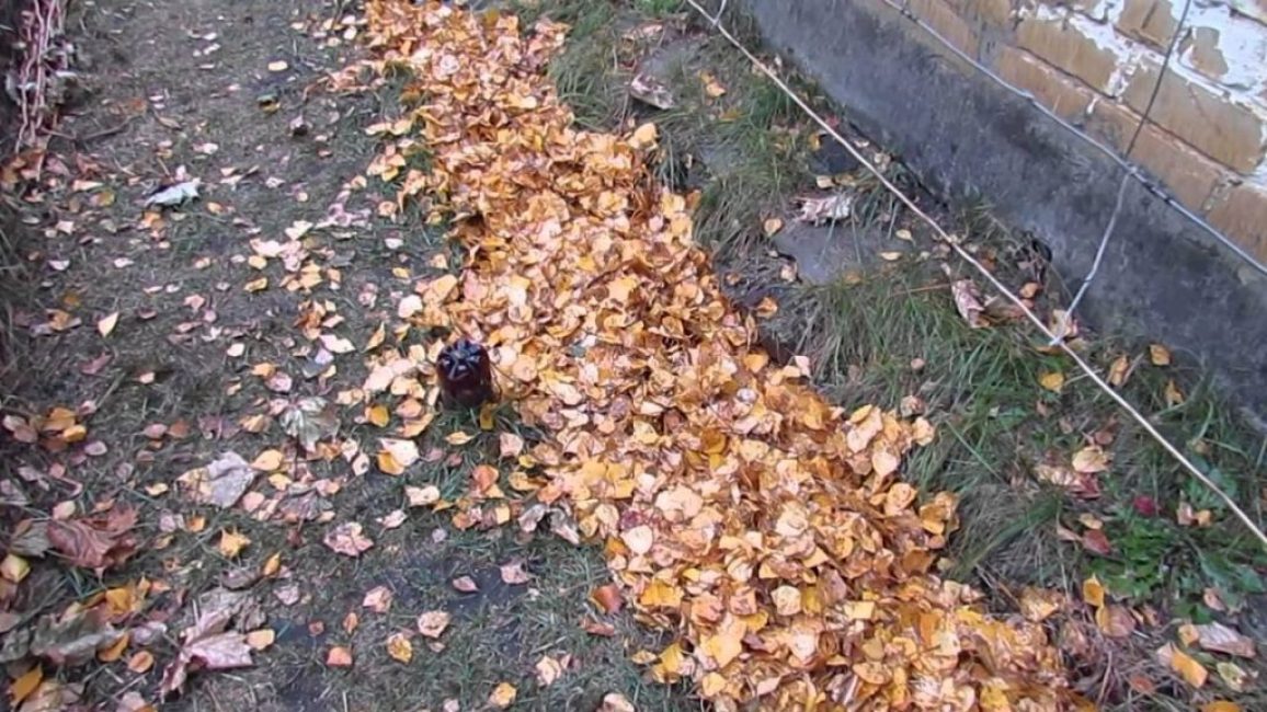 Levelek fedőként